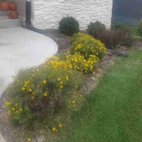Flower Bed Weeding by Clear Cuts lawn service reviewed on January 3, 2022