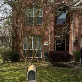 Bush Trimming by Summerall lawn service reviewed on July 21, 2022