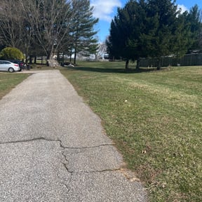 Leaf Removal by PRICE Lawn Care reviewed on May 17, 2022