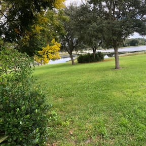 Bush Trimming by Ace outdoors reviewed on June 10, 2022