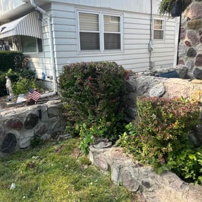 Bush Trimming by LSLTDallas/FortWorthTruGreen reviewed on April 22, 2024