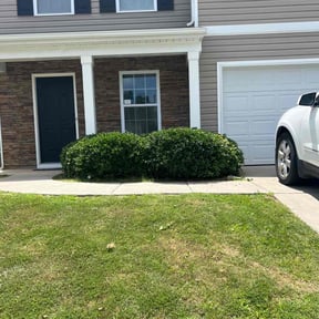Bush Trimming by Text 2 Cut Lawn Care LLC reviewed on June 23, 2022