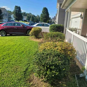 Bush Trimming by Quick Cutz Lawn Care. reviewed on March 12, 2025