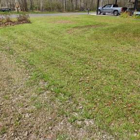 Landscaping by Earthmovers Landscaping reviewed on March 19, 2025