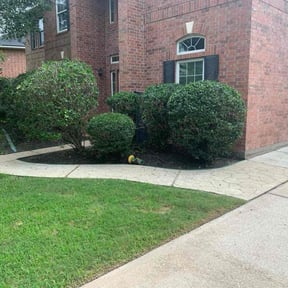 Bush Trimming by Truth Lawn and Landscaping reviewed on July 8, 2025