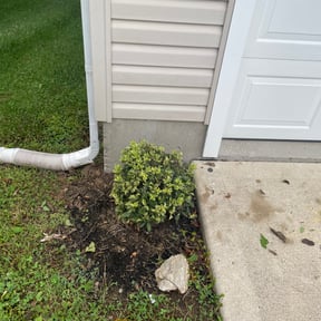 Flower Bed Weeding by Banks Home Services reviewed on May 4, 2022