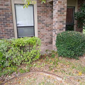 Bush Trimming by Landscape reviewed on April 13, 2025