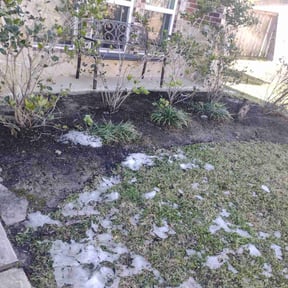 Flower Bed Weeding by Irvine Lawn Service reviewed on August 13, 2025