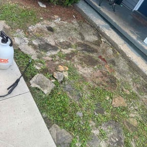 Weeding by Steve's Lawn Care reviewed on May 21, 2025