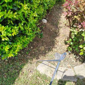 Flower Bed Weeding by Hargett lawn services reviewed on November 26, 2024
