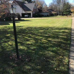 Leaf Removal by Sharp Cutz LLC reviewed on August 5, 2022