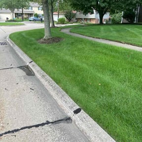 Flower Bed Weeding by Advantage Landscaping reviewed on June 30, 2022