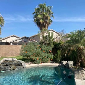 Bush Trimming by Capital Green Landscaping &amp; Lawn Care reviewed on February 21, 2022