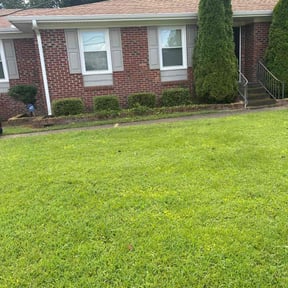 Bush Trimming by Superior Lawn Pros LLC reviewed on July 5, 2025