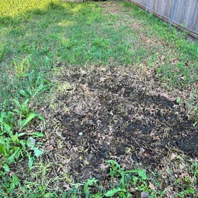 Leaf Removal by Phal SP landscape reviewed on July 10, 2025