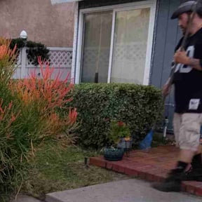 Bush Trimming by Carters lawn care service reviewed on July 8, 2022