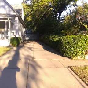 Bush Trimming by Phal SP landscape reviewed on July 10, 2025