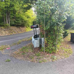 Bush Trimming by Beautiful Home Services reviewed on June 10, 2022