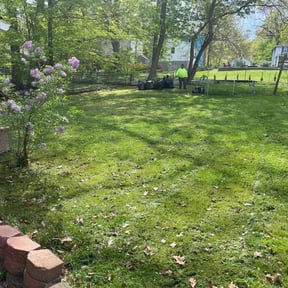 Leaf Removal by Averyscapes, LLC reviewed on August 9, 2022