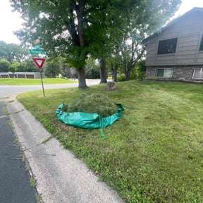 Cleanups by Affordable Property Maintenance and Landscaping reviewed on May 21, 2025