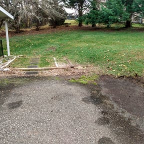 Bush Trimming by stephen williams lawn service reviewed on March 21, 2022