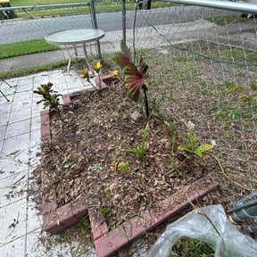 Flower Bed Weeding by Shawn Wynn lawn care reviewed on June 21, 2022