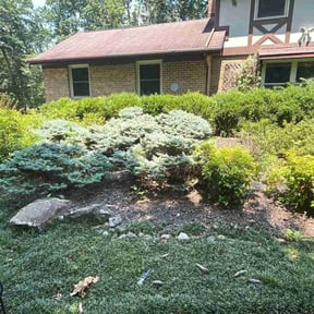Cleanups by J &amp; F Landscaping LLC reviewed on July 19, 2025