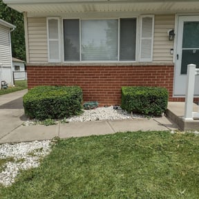 Bush Trimming by DTE Maintenance Llc reviewed on August 9, 2024