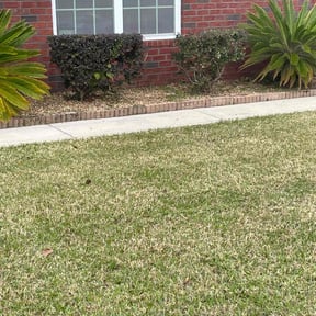 Bush Trimming by Jernie Lawn Care reviewed on June 20, 2022