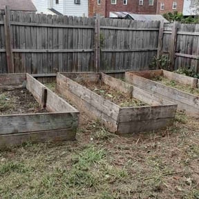 Cleanups by Tommy&#039;s Mowing Services WV,VA,&amp;Md reviewed on July 31, 2025