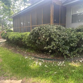 Bush Trimming by Lawn Impression reviewed on June 24, 2022