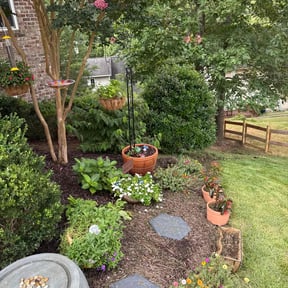 Flower Bed Weeding by FS Lawncare reviewed on August 22, 2024
