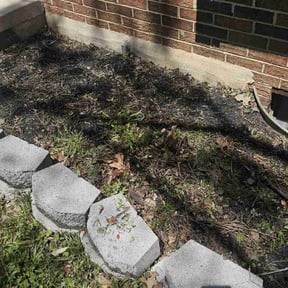 Bush Trimming by Mike’s lawn care reviewed on June 10, 2022