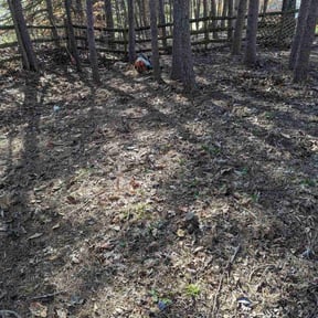 Leaf Removal by Verde Garden LLC. reviewed on July 17, 2024