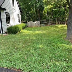 Bush Trimming by Carbon Dioxide Recyclers reviewed on April 28, 2025