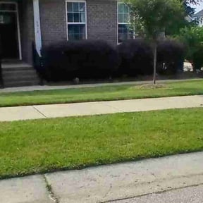 Bush Trimming by Your Way Lawn & Landscaping reviewed on June 22, 2022
