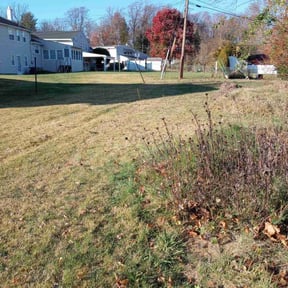 Leaf Removal by Curry's mowing reviewed on August 6, 2022