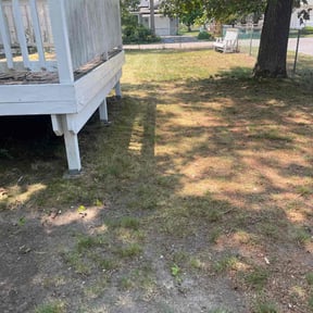 Leaf Removal by Underwood Outdoors reviewed on September 23, 2021