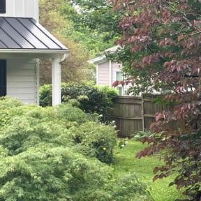 Bush Trimming by Terra Masters Landscape reviewed on May 17, 2022