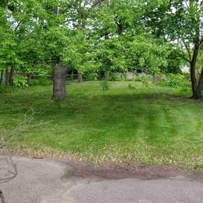 Leaf Removal by Medina's maintenance reviewed on December 14, 2021