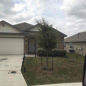 Bush Trimming by Emerald Lawns reviewed on February 27, 2025