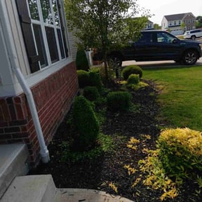 Bush Trimming by Taylor’d Lawn Experience reviewed on July 15, 2025