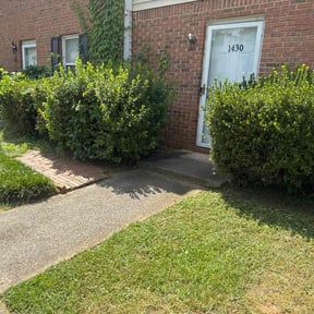 Weeding by Carter Landscape Services reviewed on June 29, 2022