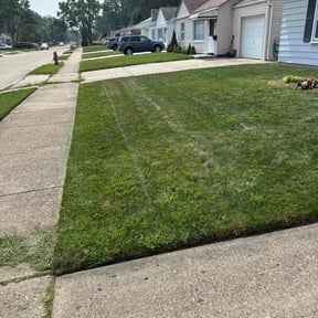 Weeding by Kyle Yacko reviewed on June 16, 2025