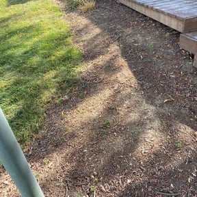 Flower Bed Weeding by Cavender Landscaping reviewed on May 3, 2022