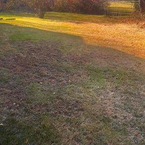 Leaf Removal by Biggs customs reviewed on October 15, 2021