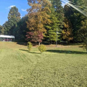 Bush Trimming by C&A Lawn Care + reviewed on June 17, 2022