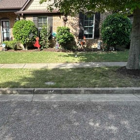 Bush Trimming by D Taylor's Property services reviewed on August 17, 2020