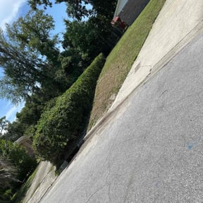 Bush Trimming by Woodruff Contracting LLC. reviewed on July 20, 2022