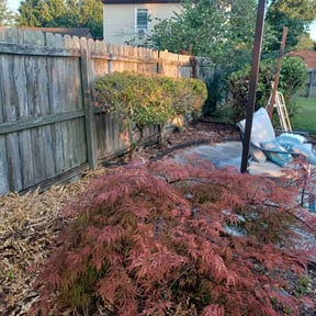 Bush Trimming by Lawn Enforcement Lawn Care LLC reviewed on January 4, 2025